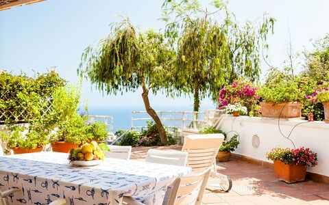 Casa Dorothea 1: Fiore, Mobilia, Vaso Di Fiori, Tavolo, Sedia, Pianta Della Casa, Balcone, Mobili Da Esterno, Tavolo Esterno