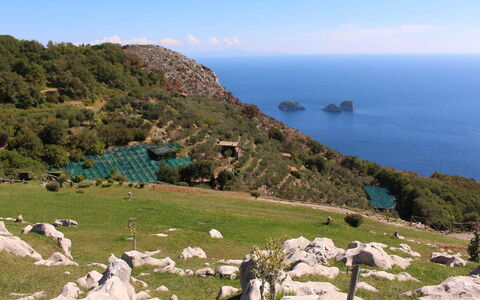 The Sea Farmhouse: Roccia, Mare, Terreno, Costiera E Morfologie Oceanic, Costa, Oceano, Hill Station, Promontorio, Promontorio
