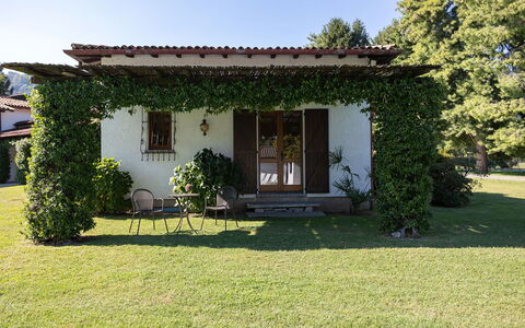 Villa Brin: Erba, Casa, Villetta, Arbusto, Tetto, Casa, Giardino, Lotto, Porta