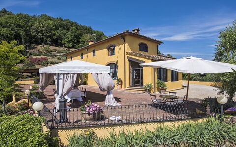 Villa delle Rose: Vaso Di Fiori, Estate, Tenda, Giardino, Hacienda, Sedia, Pianta Della Casa, Villa, Cucina & Sala Da Pranzo Tavolo, Landscaping