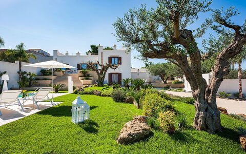 Villa la Pigna: Giardino, Arbusto, Landscaping, Estate, Hacienda, Shade, Cortile, Prato, Ricorrere