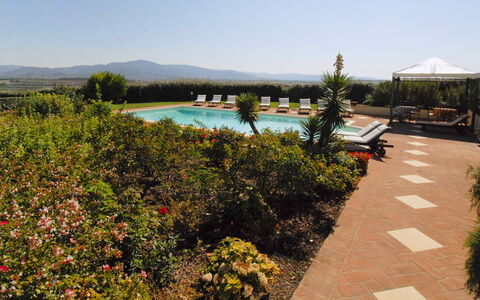 Villa Michelangelo: Giardino, Piscina, Hacienda, Eco Hotel, Landscaping, Ricorrere, Cortile, Piantagione, Agriturismo, Villa