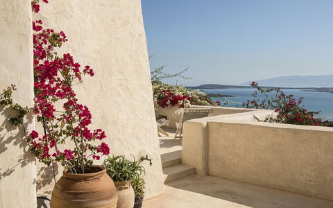 Villa Mycenaean: Fiore, Vaso Di Fiori, Rosa, Petalo, Pianta Della Casa, Tagliare I Fiori, Fiorai, Giardino, Disegno Floreale