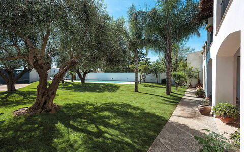 Casa Tika: Giardino, Shade, Prato, Landscaping, Estate, Woody Impianto, Backyard, Cortile, Hacienda, Cortile