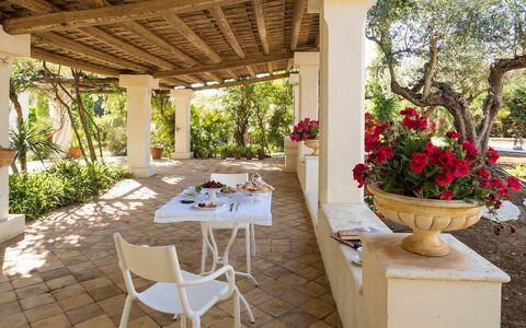 Green Villa: Mobilia, Tavolo, Sedia, Vaso Di Fiori, Giardino, Cucina & Sala Da Pranzo Tavolo, Pianta Della Casa, Flagstone, Shade, Ricorrere