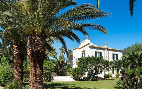 Green Villa: Blu, Albero, Vegetazione, Woody Impianto, Shade, Landscaping, Tropici