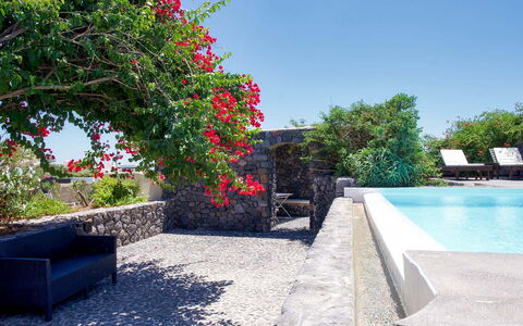 Mansion Kyani: Arbusto, Vaso Di Fiori, Giardino, Flagstone, Shade, Landscaping, Ricorrere, Pianta Della Casa, Hacienda