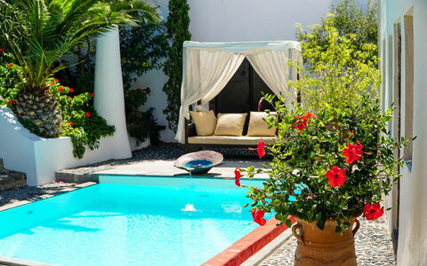 Mansion Sophia: Piscina, Vaso Di Fiori, Ricorrere, Eco Hotel, Mobili Da Esterno, Pianta Della Casa, Shade, Tempo Libero, Giardino