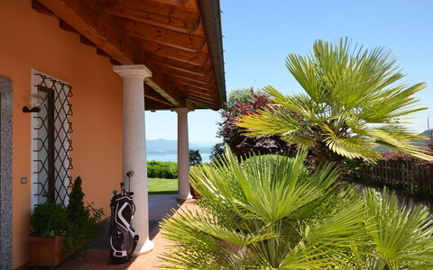 Verbano: Shade, Ricorrere, Eco Hotel, Giardino, Vaso Di Fiori, Tropici, Landscaping