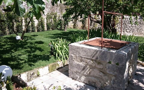 Villa Acreide: Arbusto, Roccia, Giardino, Groundcover, Backyard, Flagstone, Landscaping, Shade, Cortile