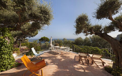 Villa Avion: Albero, Arbusto, Paesaggio, Giardino, Mobili Da Esterno, Shade, Landscaping, Cortile, Sedia