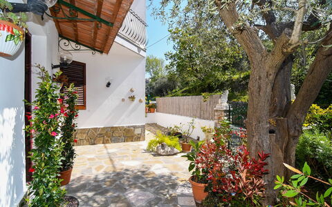 Villa del Mare: Fiore, Vaso Di Fiori, Giardino, Flagstone, Pianta Della Casa, Landscaping, Cortile, Backyard, Hacienda