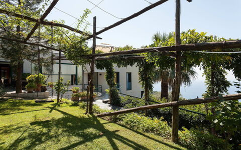 Villa Felicia: Shade, Giardino, Backyard, Cortile, Landscaping, Hacienda, Pergola, Struttura Esterna, Cortile, Illuminazione Diurna