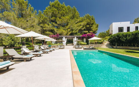 Villa Gold: Piscina, Ricorrere, Giardino, Estate, Eco Hotel, Landscaping, Villa, Hacienda, Shade, Dimora