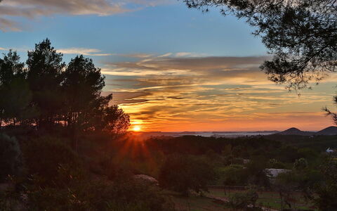 Villa Gold: Cielo, Fotografia, Natura, Afterglow, Ramo, Foglia, Ambiente Naturale, Tramonto, Crepuscolo, Bellezza
