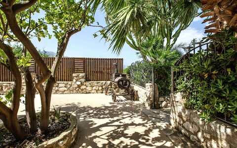 Villa Isabella: Giardino, Shade, Landscaping, Flagstone, Backyard, Cortile, Driveway, Cortile