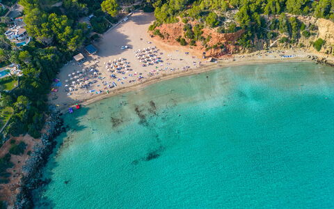 Villa Jardin: Costa, Spiaggia, Mare, Costiera E Morfologie Oceanic, Riva, Oceano, Baia, Caraibico, Tropici