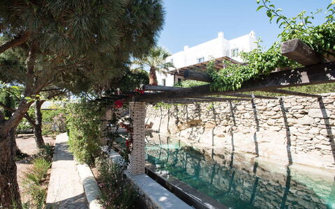 Villa Oasis: Giardino, Shade, Landscaping, Backyard, Flagstone, Cortile, Cortile, Giochi D'Acqua, Passerella, Piscina