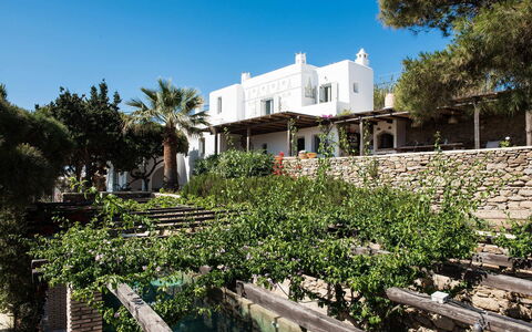 Villa Oasis: Shade, Ricorrere, Landscaping, Balcone, Mobili Da Esterno, Villa, Hacienda, Vaso Di Fiori, Backyard