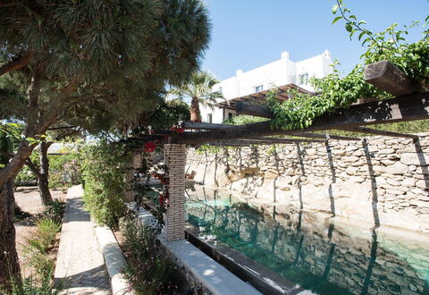 Villa Oasis: Giardino, Shade, Landscaping, Backyard, Flagstone, Cortile, Cortile, Giochi D'Acqua, Passerella, Piscina