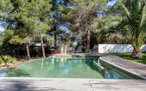 Villa Roja: Piscina, Ricorrere, Shade, Giardino, Eco Hotel, Landscaping, Giochi D'Acqua, Backyard, Mobili Da Esterno