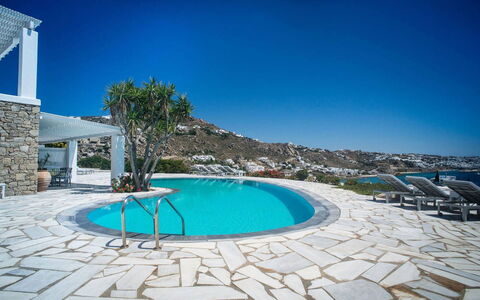Villa Rose 1: Blu, Piscina, Ricorrere, Mobili Da Esterno, Eco Hotel, Hotel, Costa, Resort Citta ', Tropici, Villa