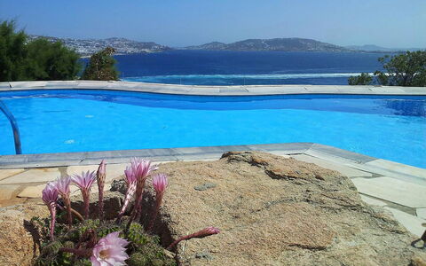 Villa Rose 1: Blu, Acqua, Piscina, Mobili Da Esterno, Ricorrere, Costa, Tropici, Shade, Resort Citta ', Eco Hotel