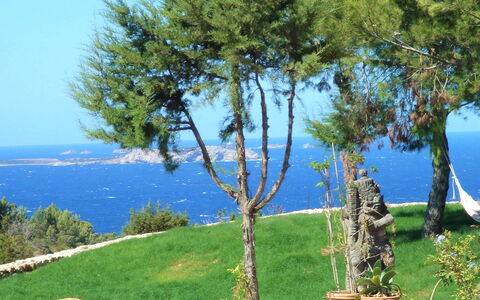 Villa Sun: Blu, Costiera E Morfologie Oceanic, Mare, Costa, Oceano, Woody Impianto, Riva, Tropici, Shade, Sempreverde