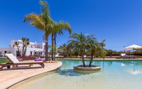 Villa Violet: Piscina, Ricorrere, Hacienda, Eco Hotel, Landscaping, Giardino, Villa, Resort Citta ', Shade