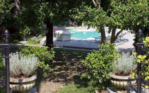Villa Virginia: Arbusto, Giardino, Vaso Di Fiori, Shade, Primavera, Landscaping, Flagstone, Backyard, Cortile