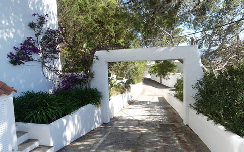 Villa Roxy: Arbusto, Giardino, Shade, Landscaping, Calcestruzzo, Design, Passerella, Hacienda, Backyard