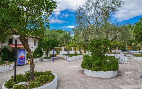 Casa Primavera: Woody Impianto, Shade, Giardino, Landscaping, Cortile, Hacienda, Driveway, Cortile, Backyard