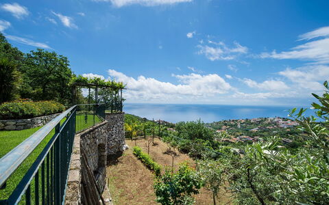 Villa Tortuga: Orizzonte, Paesaggio, Mare, Oceano, Recinzione, Immagini