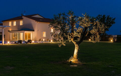 Villa Monsummano: Blu, Casa, Giardino, Prato, Crepuscolo, Sera, Cortile, Estate, Notte, Backyard