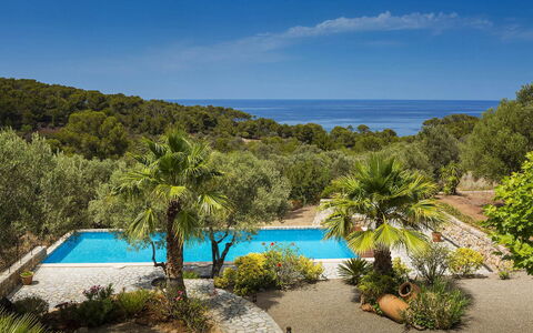 Villa Mallorca: Blu, Tropici, Costa, Piscina, Ricorrere, Baia, Eco Hotel, Caraibico