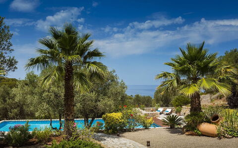 Villa Mallorca: Blu, Vegetazione, Ricorrere, Giardino, Tropici, Eco Hotel, Shade, Landscaping, Piscina