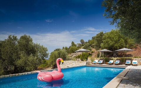 Villa Mallorca: Blu, Piscina, Mobili Da Esterno, Ricorrere, Lettino, Tempo Libero, Sedia, Sedia A Sdraio, Vacanza, Resort Citta '