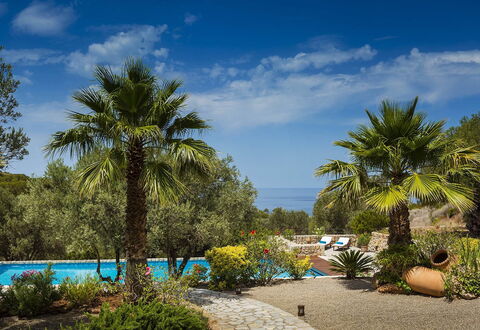 Villa Mallorca: Blu, Vegetazione, Ricorrere, Giardino, Tropici, Eco Hotel, Shade, Landscaping, Piscina
