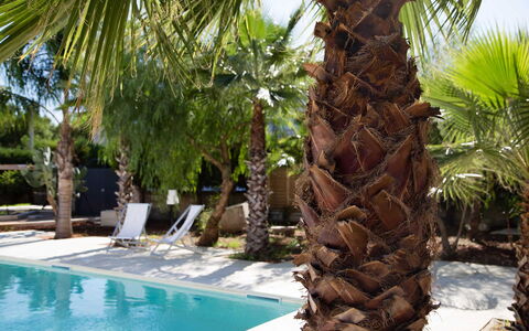 Villa Salentina: Piscina, Woody Impianto, Ricorrere, Eco Hotel, Shade, Tropici