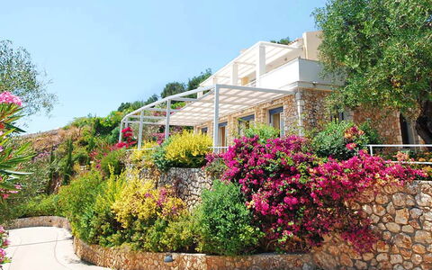 Villa Aspro: Fiore, Arbusto, Giardino, Rosa, Primavera, Landscaping, Cortile, Giardino Botanico, Balcone, Villa