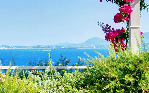 Villa Aspro: Fiore, Blu, Verde, Vegetazione, Estate, Mare, Costiera E Morfologie Oceanic, Oceano, Primavera