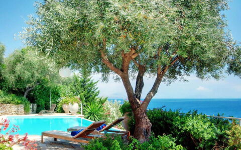 Villa Azzurra: Woody Impianto, Giardino, Shade, Landscaping, Mobili Da Esterno