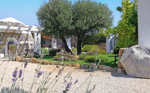 Villa la Rezza: Arbusto, Giardino, Groundcover, Landscaping, Cortile, Shade, Backyard, Prato, Design