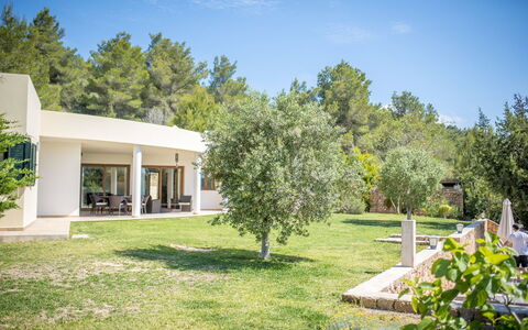 Villa Sharon: Arbusto, Lotto, Casa, Giardino, Estate, Shade, Landscaping, Cortile, Agriturismo, Backyard