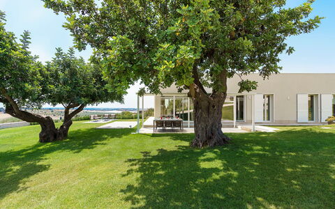 Green Hill: Casa, Shade, Giardino, Prato, Estate, Landscaping, Cortile, Parco, Villa, Driveway