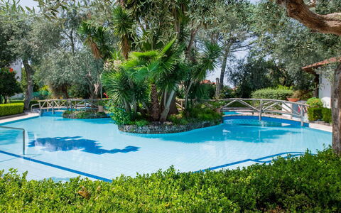 Apartment Amina: Piscina, Ricorrere, Giardino, Eco Hotel, Hacienda, Shade, Landscaping, Hotel, Mobili Da Esterno, Reflecting Pool