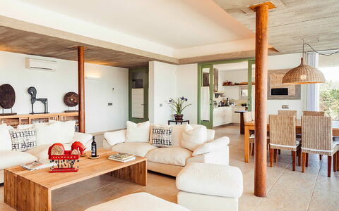 Villa Neper: Mobilia, Interior Design, Pavimentazione, Pavimento, Divano, Legna, Soggiorno, Soffitto, Tavolo, Camera