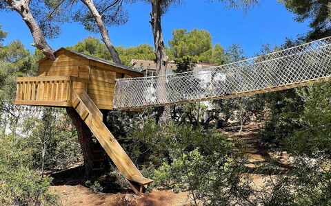 Villa Alejandra: Albero, Legna, Giungla, Vacanza