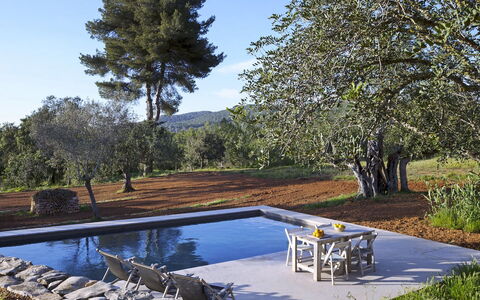 Villa Cave: Piscina, Giardino, Shade, Landscaping, Mobili Da Esterno, Giochi D'Acqua, Backyard, Lettino, Reflecting Pool, Ricorrere