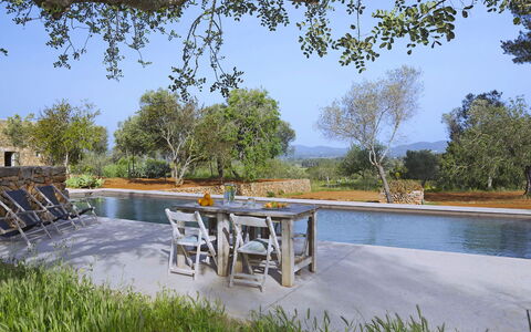 Villa Cave: Albero, Piscina, Mobili Da Esterno, Landscaping, Stagno, Riflessione, Reflecting Pool, Flagstone